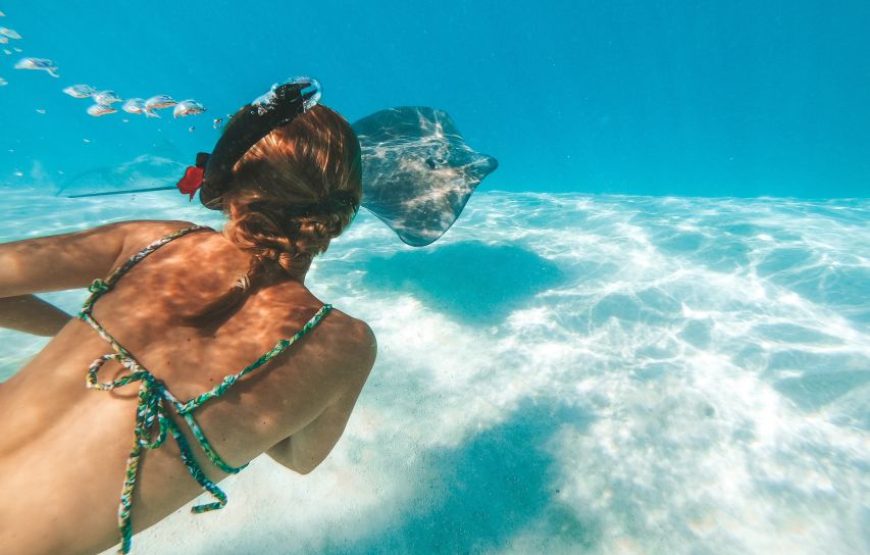 Mahmya Island Day Trip | Explore the Beauty of Mahmya Beach